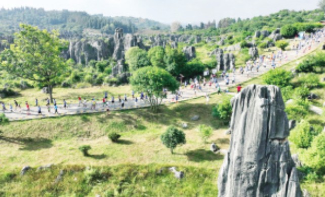 ‌一场穿越2.7亿年时光的奔跑