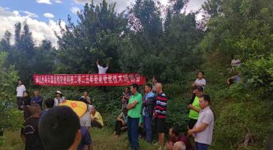 ‌云南普洱勐大镇：收购商搭台引智 坚果“绿果子”