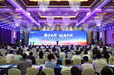 ‌云南省第二届中药材产业高质量发展暨傣医药发展交流会在景洪举行