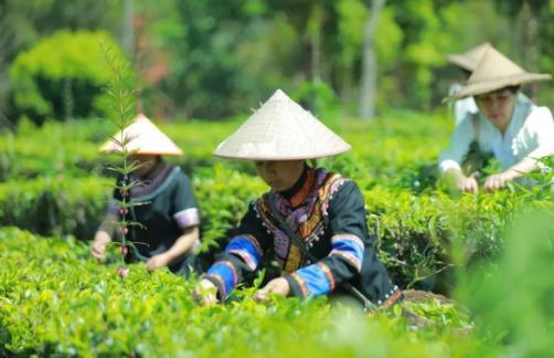 ‌中国“新农民”系列之‖李建春：把“香土故事”讲到全国