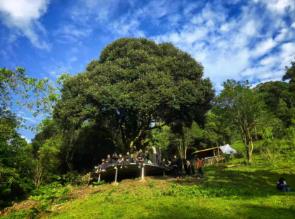 ‌有一种叫云南的生活·旅居云南 | 和平镇：深耕哀牢特色 赋能农文旅融合发展