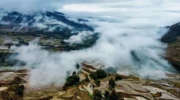 ‌【外眼看云南】被元阳梯田“治愈”的五位国际博主，找到“慢生活”的答案