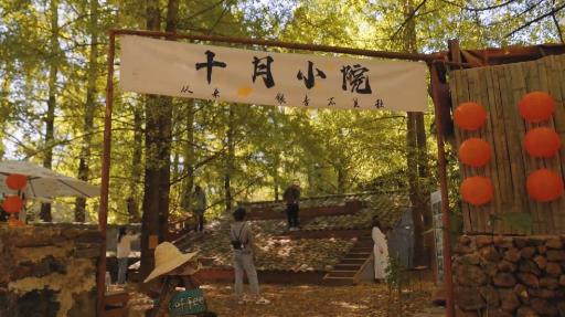 ‌银杏配咖香：云南腾冲银杏“村咖”热