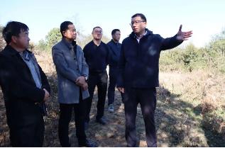 嵩明县委主要领导调研文旅项目