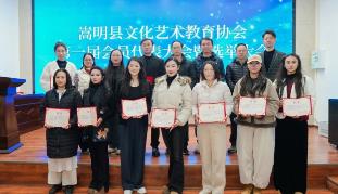 嵩明县文化艺术教育协会成立