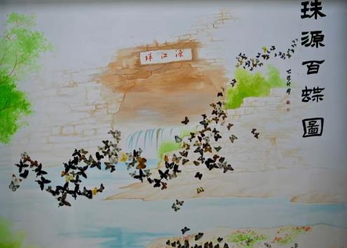 ‌ 云南曲靖：珠江源蝶韵馆今日举办开馆仪式